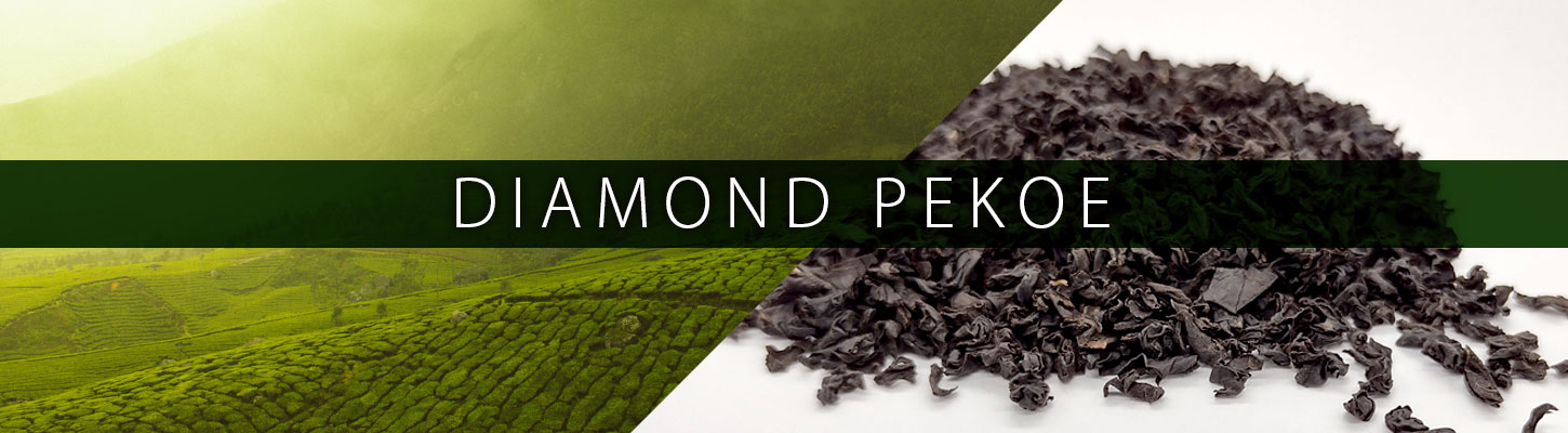 ダイヤモンドペコー|Pekoe